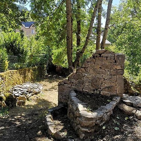 Maison Traditionnelle En Lozere Saint-Saturnin  Exterior foto